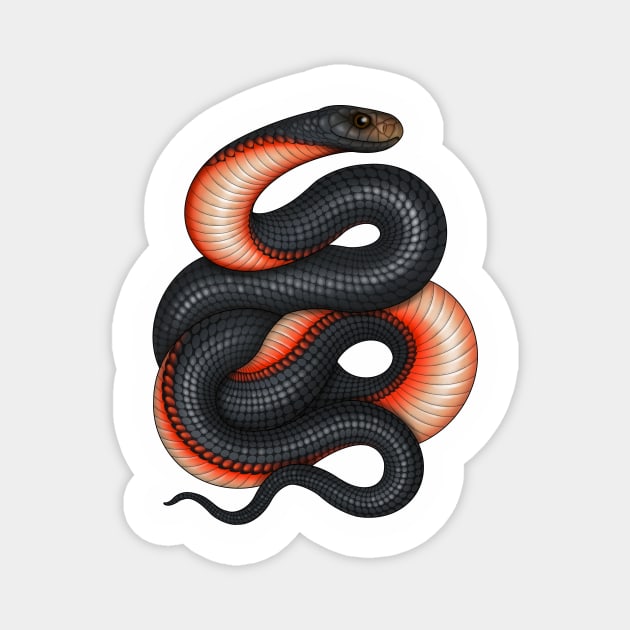 Red-bellied Black Snake Magnet by miss_varanus