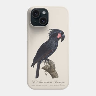 Palm Cockatoo Parrot / L' Ara Noir a Trompe - Jacques Barraband 19th century Illustration Phone Case