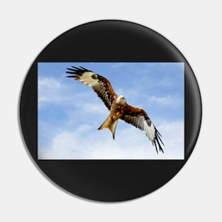 Soaring Red Kite Pin