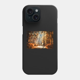 A Walk to the Light Phone Case