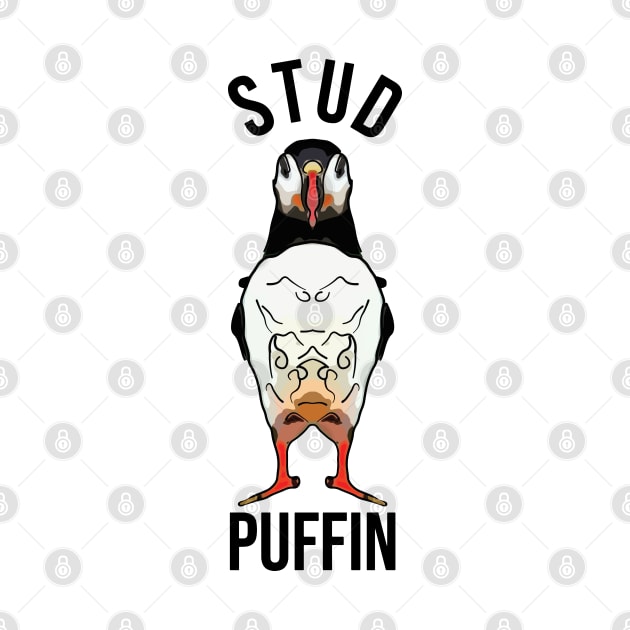 Funny Stud Puffin by ardp13