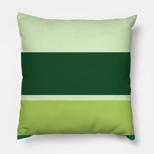 A striking joint of Dark Sea Green, Seafoam Blue, Tea Green, Pine and Light Olive stripes. Pillow