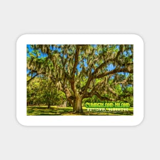 Cumberland Island National Seashore Magnet