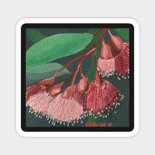 Modern Sepia Gum Flowers by Australian Artist Leah Gay Magnet