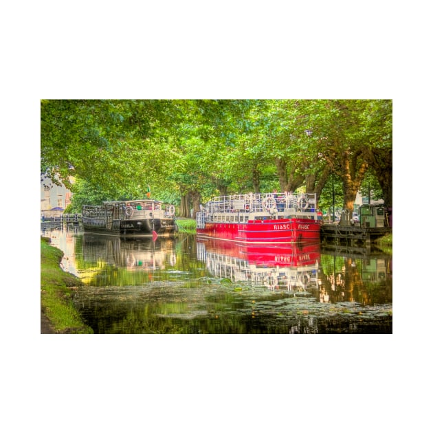 Longboats on the Grand Canal, Dublin, Ireland by Mark Richards