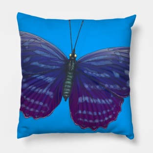 butterfly Pillow