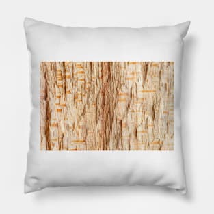 Tree trunk cross section Pillow