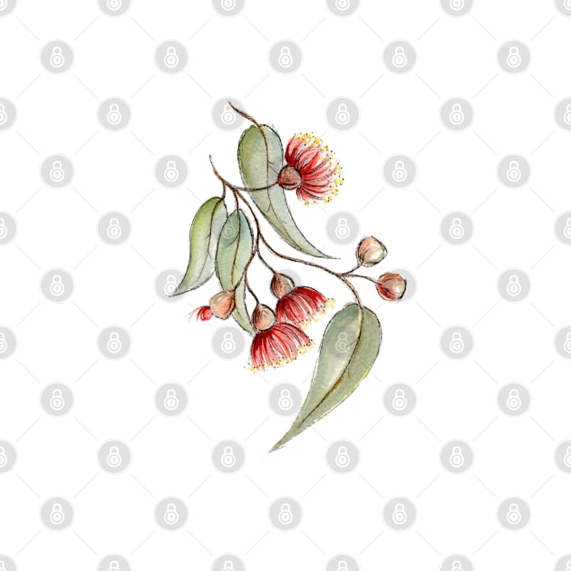 Flowering Australian Gum, Illustration by JessicaRose