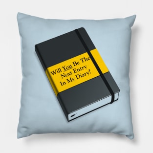 Will you be The Next Entry in My Diary? Icebreaker Pillow