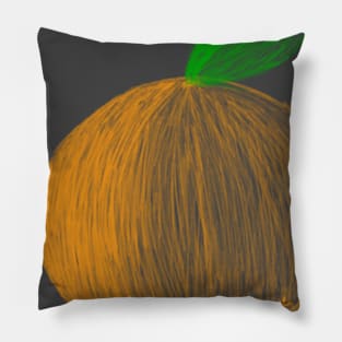 Orange you glad Pillow