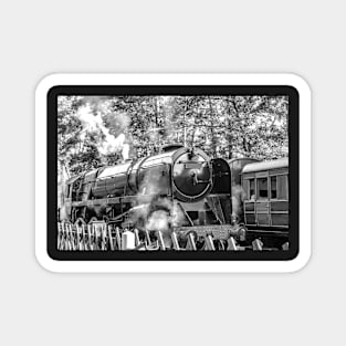 Vintage steam locomotive on the Norfolk Poppy Line Magnet