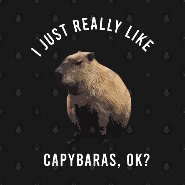 I-Just-Really-Like-Capybaras-OK by Multidimension art world