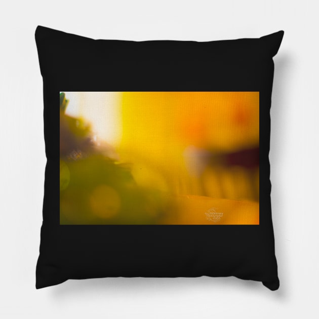 Color Play #1 Pillow by ncmckinney