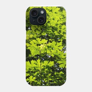 Sun-Dappled Leaves in the Forest Phone Case