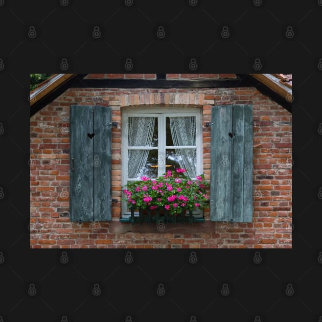 Rustic Window and Red Bricks Wall by yairkarelic