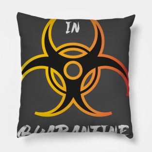 Tee For Teens 18th In Quarantine Eco Friendly Gift Tee Unique Design Pillow