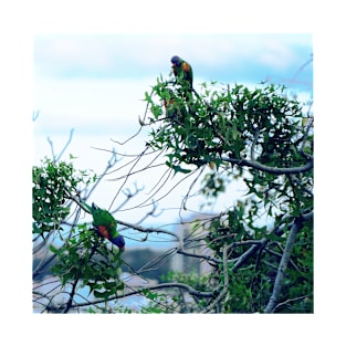 Rainbow Lorikeets T-Shirt