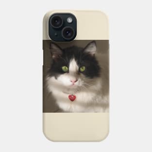 Cat's Eye Phone Case