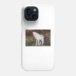 An Arctic Wolf Howls during the day Phone Case