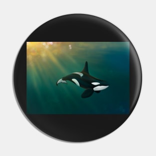 Orca underwater sunset scene Pin
