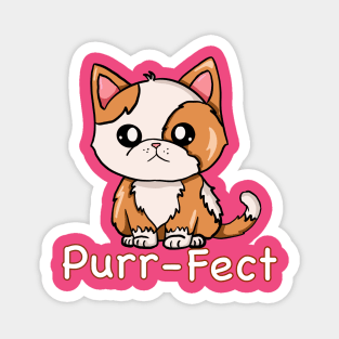 Purr-fect Cute Kitten Magnet