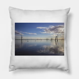 Lake Mulwala, Yarrawonga, Victoria, Australia. Pillow