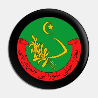 Emblem  of  the  Bukharan  People's  Soviet  Republic Pin
