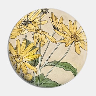 Sunflowers  by Hannah Borger Overbeck Pin