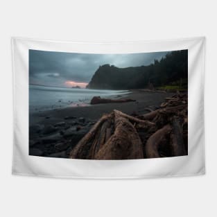 Pololu Black Sand Beach Tapestry