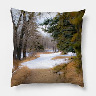 Urban trail Pillow