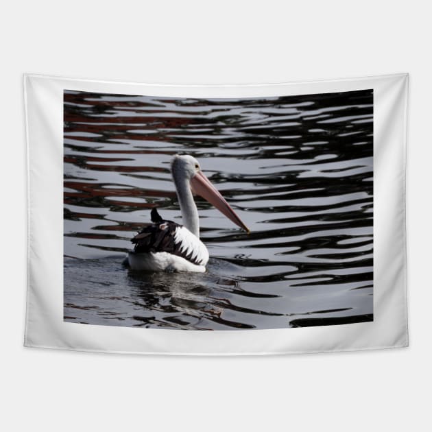 Australian Pelican Tapestry by kirstybush