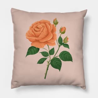 aesthetic rose, flower, floral, cute rose Pillow