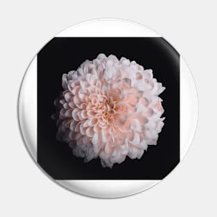 Blushing Dahlia Pin