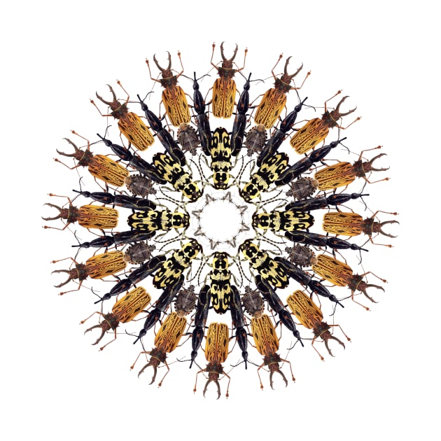 Brown bugs mandala by burenkaUA