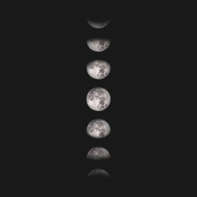 Moon Phases Vertical by tortagialla