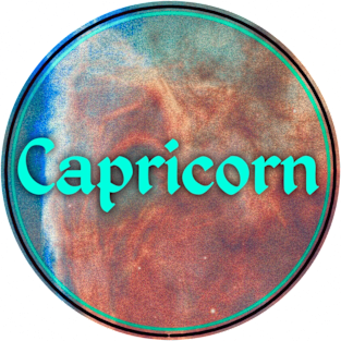 Capricorn Magnet