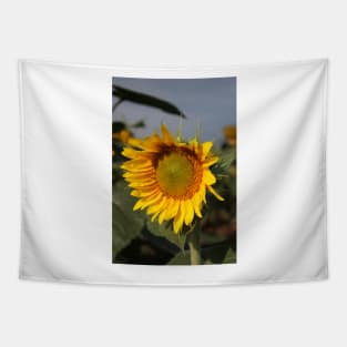 Bright and Colorful Sunflower in a Field Tapestry