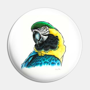 Macaw Pin