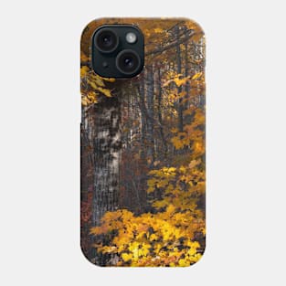 trees painting Phone Case