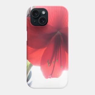 Translucent Amaryllis Phone Case