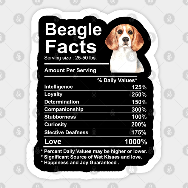 Beagle Facts Nutrition Funny Gift Beagle Mama Dog Beagle Sticker Teepublic