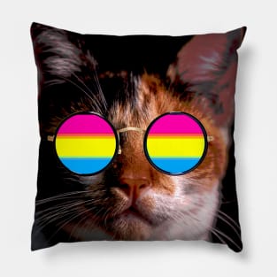 Cute Cat with Glasses Flag Pillow