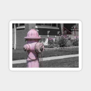 Flowers and Fire Hydrant Magnet