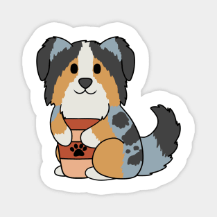 Australian Shepherd Coffee Magnet