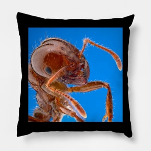 Fire Ant Pillow