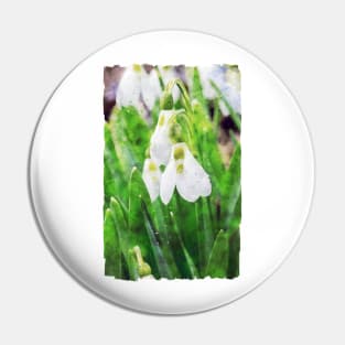 Snowdrops 5 Pin