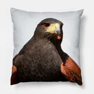 Harris Hawk Pillow