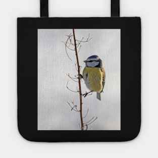 Blue Tit in winter Tote