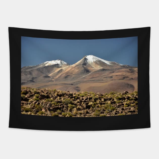 Bolivie - Salar d'Uyuni Tapestry by franck380