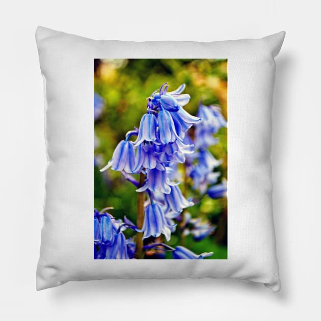 Bluebells Spring Flowers Hyacinthoides Pillow by Andy Evans Photos